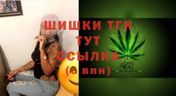 винт Михайлов