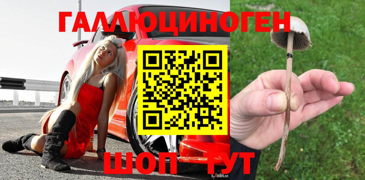 Галлюциногенные грибы мухоморы  Вход с VPN  Киреевск 
