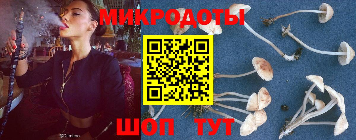 Псилоцибиновые грибы прущие грибы Киреевск