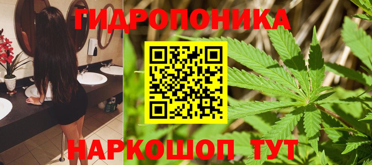 Бошки Шишки планчик Киреевск